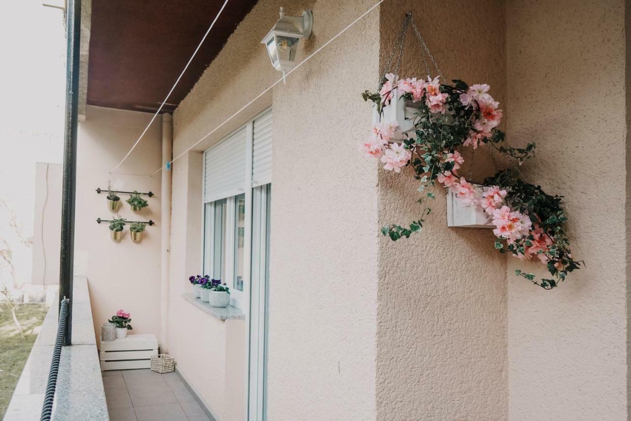 Apartman Bacchus Pula Exterior photo